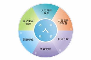 深圳人力资源服务许可证办理条件和审批部门