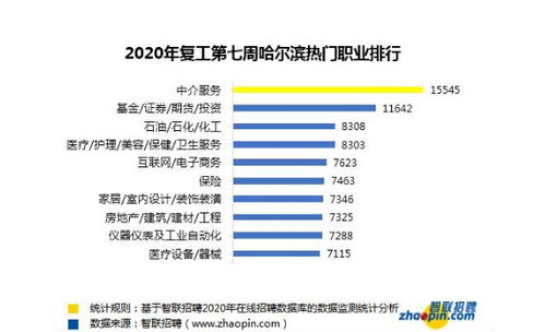 复工大数据 北京人才市场热度全国第一 哈尔滨热门职业,中介服务排第一